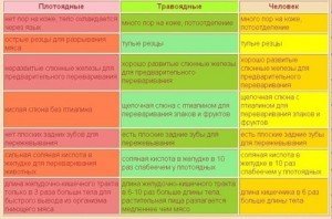 Диета на пекинской капусте