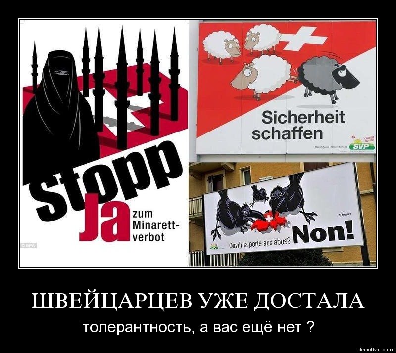 эволюция-толерантность-174830