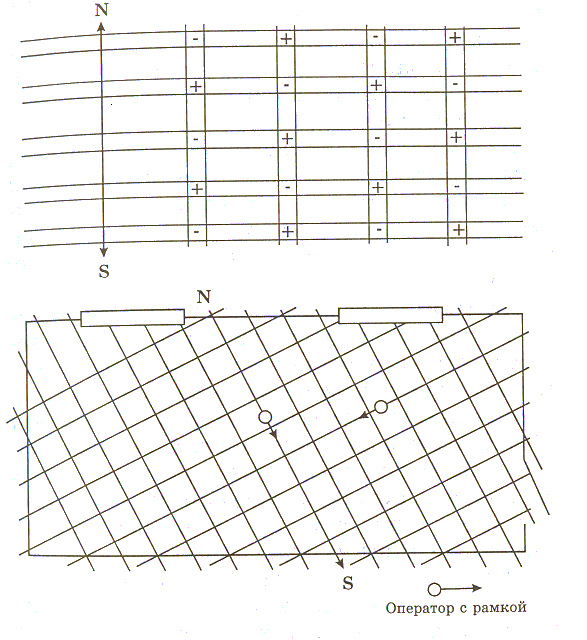 Танцующий лес 1342682849_30