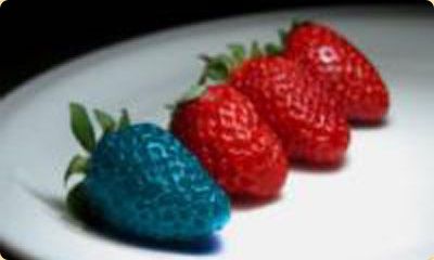 jagode-gmo-ilu