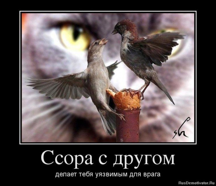 0_9a2bc_871638bb_XL