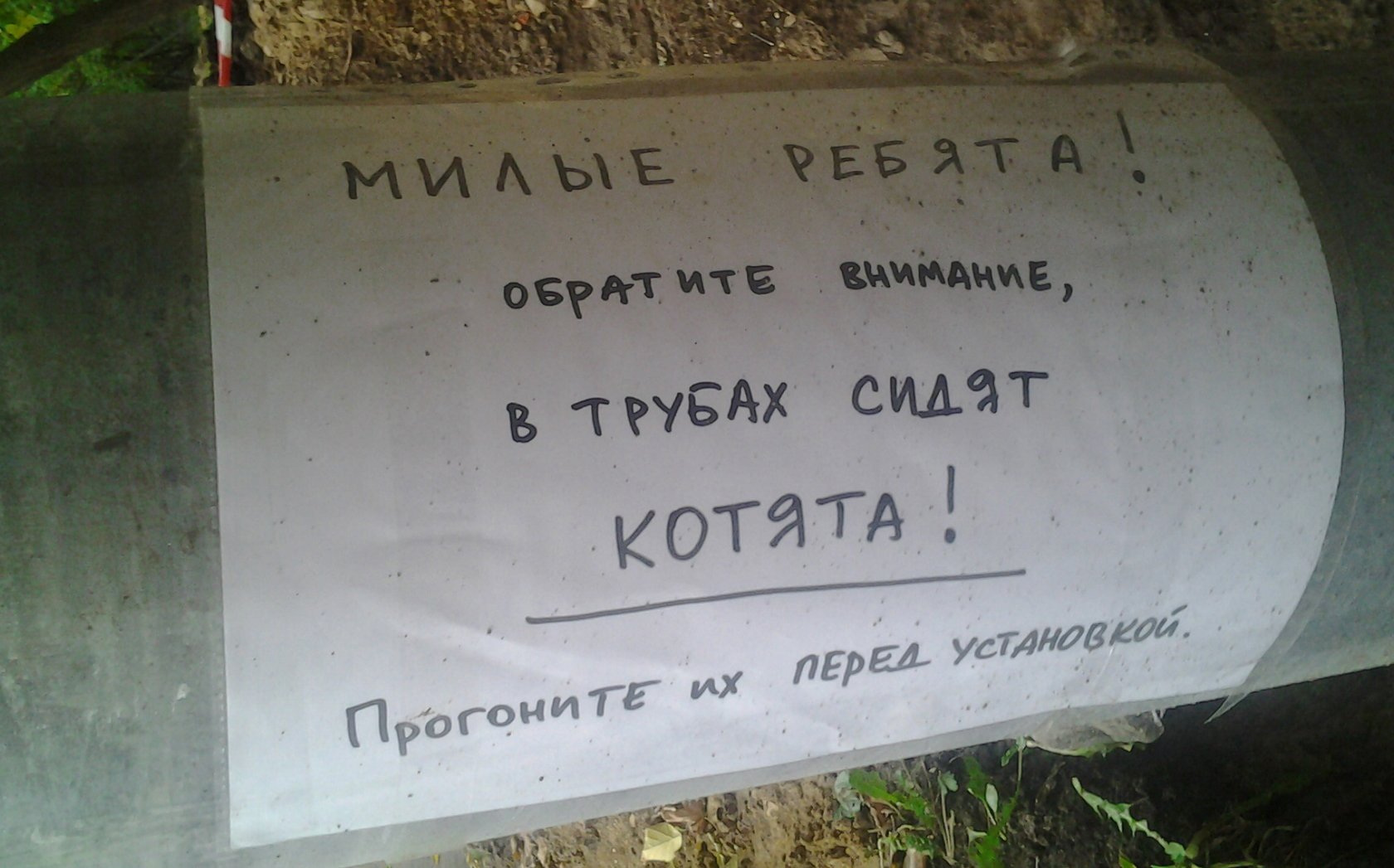Неравнодушные люди