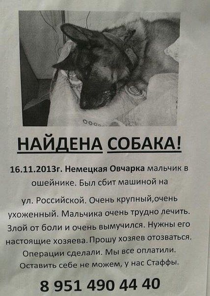 Есть же отзывчивые и неравнодушные люди!