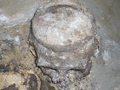 Археологи Приднестровья изучают крупный скифский могильник (ФОТО)