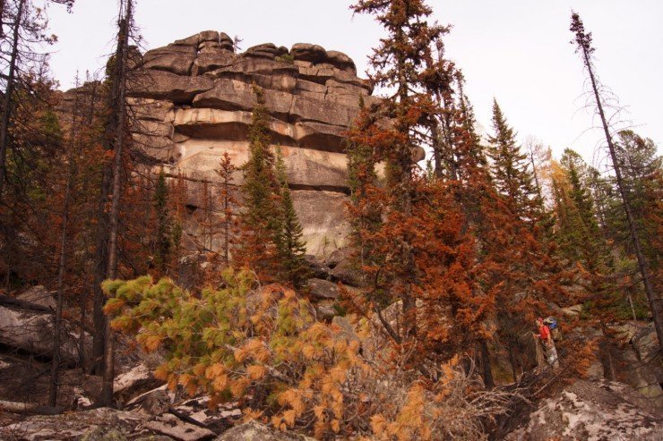 image001