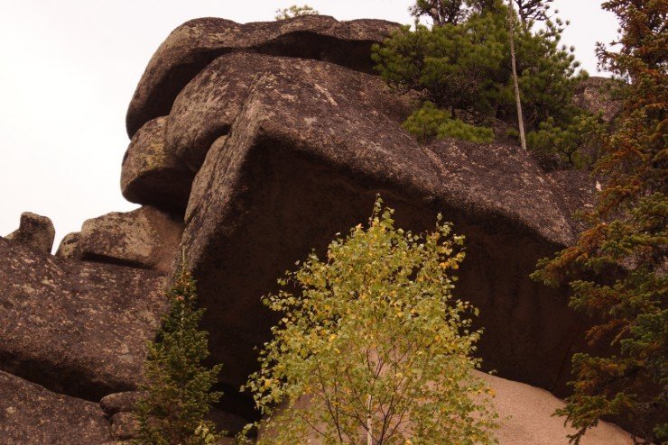 image004