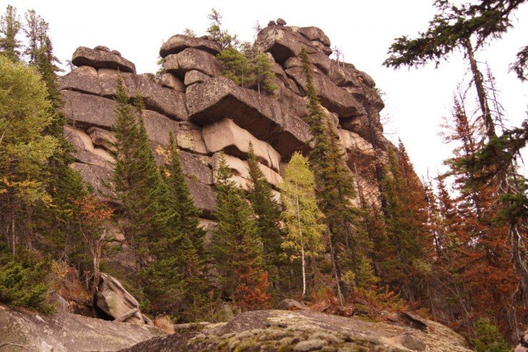 image005