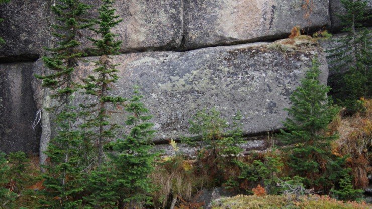 image006