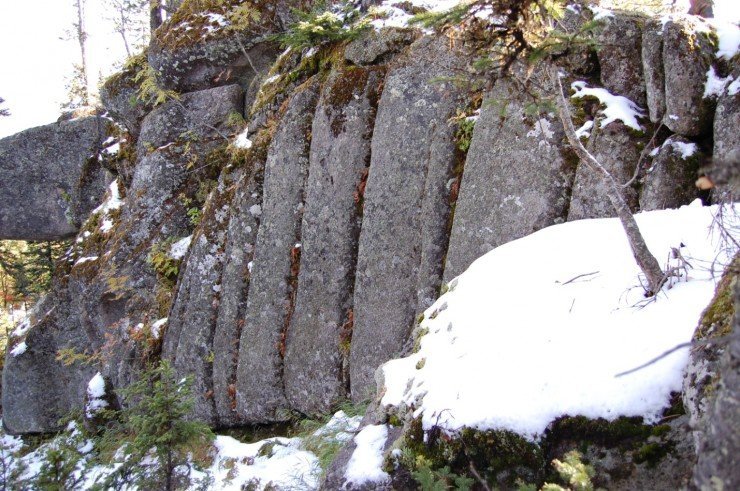 image008