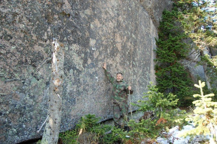 image009