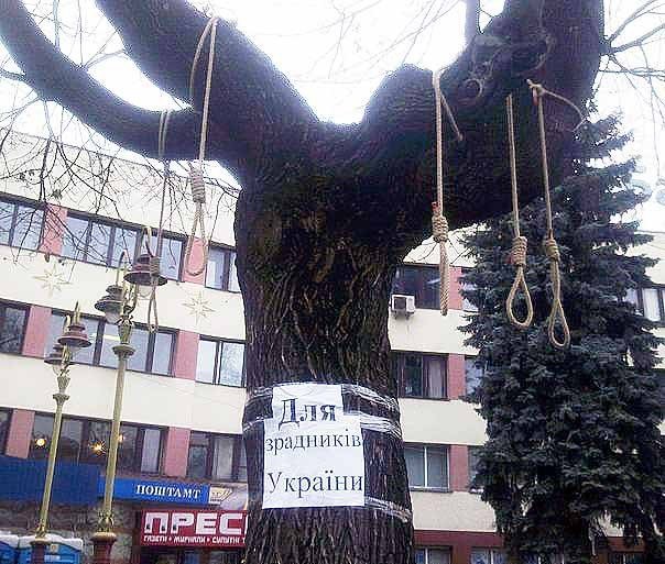 [Зображення: W8tQu8Cdr041.jpg]