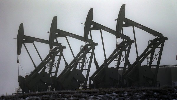 © AP Photo/ Eric Gay