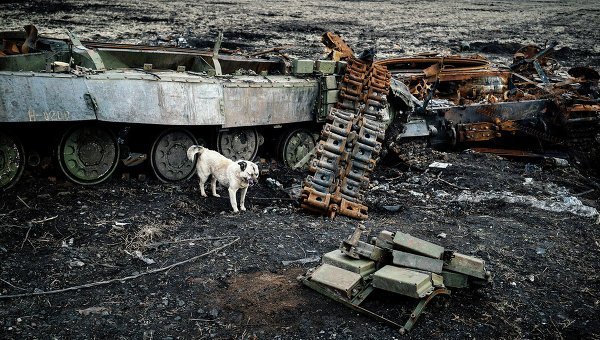 © AFP 2015/ Dimitar Dilkoff