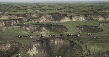 0_15163d_2d8e0656_XL