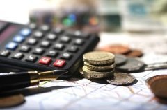 День профессионального праздника работников налоговой службы (Фото: Ronen Boidek, Shutterstock)