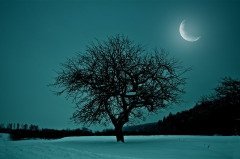 На Лаврентия наблюдали за луной... (Фото: Smit, Shutterstock)
