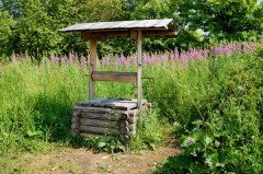 Особо в этот день стали почитать колодезную воду (Фото: liza1979, Shutterstock)