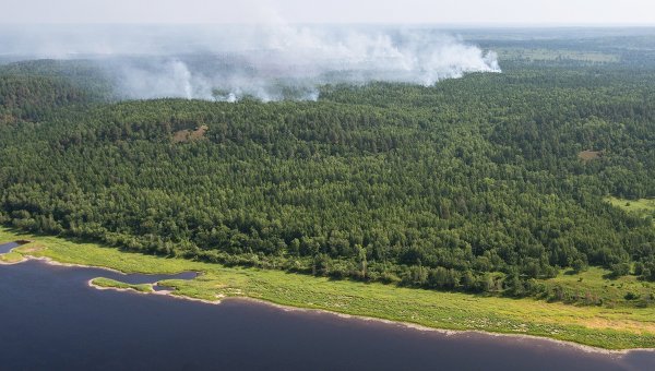 Последние новости в щекино тульской области