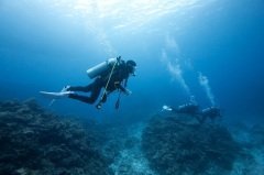 Первая в мире водолазная школа была основана в Кронштадте (Фото: littlesam, Shutterstock)