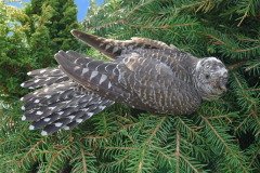 Если кукушка кукует на сухом дереве, то быть заморозку (Фото: Maksimilian, Shutterstock)