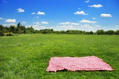 В этот день крестьянки выходили на поле с холстом (Фото: Sofiaworld, Shutterstock)