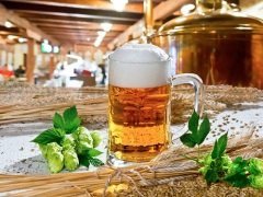 Свыше 60 тысяч человек работают на предприятиях отрасли (Фото: Vaclav Mach, Shutterstock)