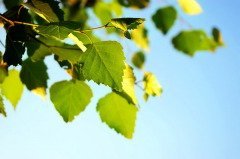 Детский праздник фокусник екатеринбург