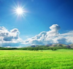Говорили, что в этот день солнце светит особенно ярко (Фото: djgis, Shutterstock)