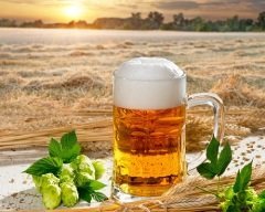 Пиво – очень древний напиток (Фото: Vaclav Mach, Shutterstock)