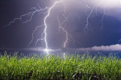 В этот день часто случались грозы с молниями (Фото: leonid_tit, Shutterstock)