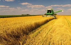 Земельные угодья России представляют собой огромную производительную силу (Фото: prudkov, Shutterstock)