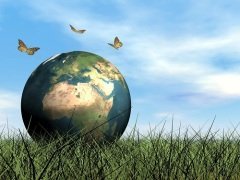 Этот День призван привлечь внимание человечества к проблеме сохранения среды обитания фауны планеты Земля (Фото: Elenarts, Shutterstock)