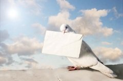 Почта передает мысли, чувства и желания на большие расстояния (Фото: Julia Shepeleva, Shutterstock)