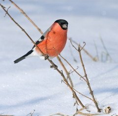 Погода в этот день указывает на погоду сентября (Фото: Vladimir Chernyanskiy, Shutterstock)