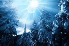 Ясный день сулил хороший урожай в будущем (Фото: Galyna Andrushko, Shutterstock)