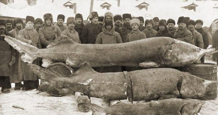 50 фактов, которые должен знать каждый русский