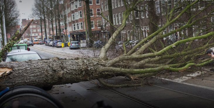 В Нидерландах ветер срывает крыши домов, в Германии отменили все поезда