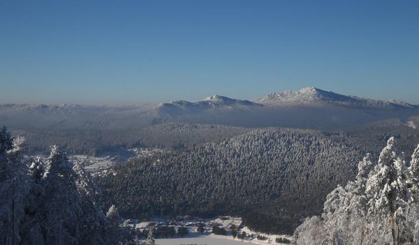 «Стыдно за Америку!» — откровения американца, после поездки в Россию
