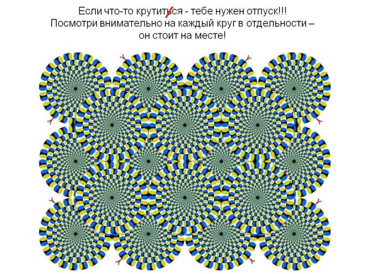 Как легко можно обмануть наш мозг