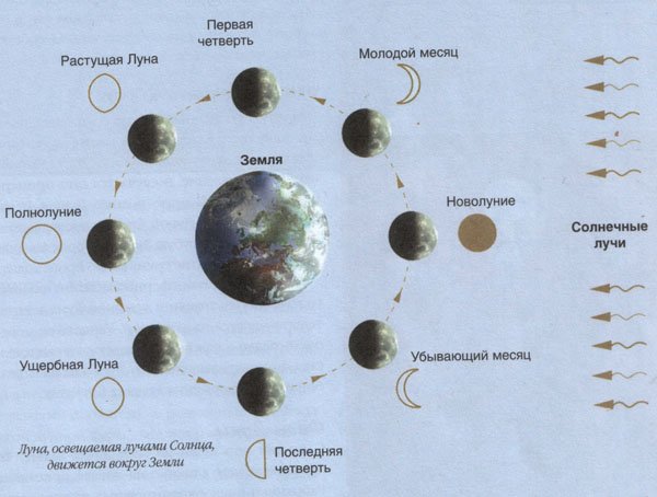 Как луна вращается вокруг земли схема и своей оси