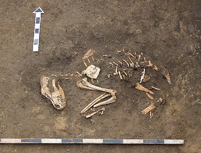 Археологи Приднестровья изучают крупный скифский могильник (ФОТО)