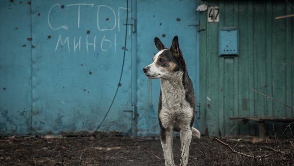 2р
