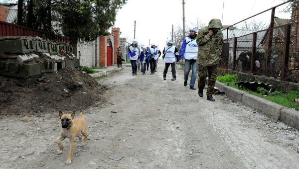 © AFP 2015/ Alexander Gayuk