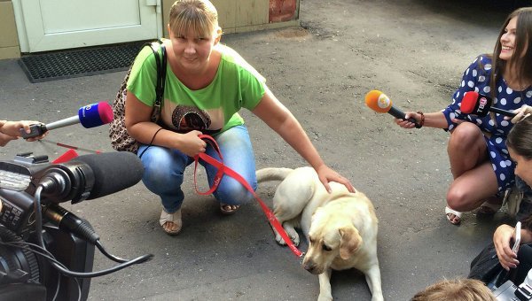 16р