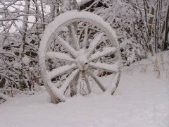 В этот день уделяли много внимания колесам (Фото: Pierdelune, Shutterstock)