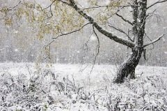 На Руси в Иванов день провожали осень и встречали зиму (Фото: Certe, Shutterstock)