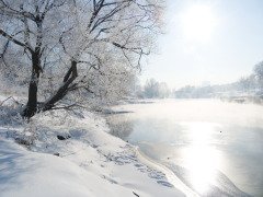 Если деревья покрывались инеем — это предвещало тепло (Фото: Zavodskov Anatoliy Nikolaevich, Shutterstock)