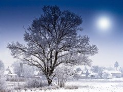 Мороз в Петров день — предвестник летней жары (Фото: Balazs Justin, Shutterstock)