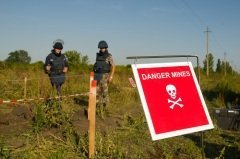 Главная задача инженерных войск — разминирование (Фото: rtem, Shutterstock)