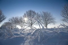 Возвещает пробуждение жизненных сил, заснувших во время Зимней Ночи (Фото: jarowan power, Shutterstock)